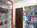 Дүкендер мен бутиктер · 120 м², бағасы: ~ 130 млн ₸ в Астане, Сарайшык р-н — фото 26
