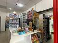 Дүкендер мен бутиктер · 120 м², бағасы: ~ 130 млн ₸ в Астане, Сарайшык р-н — фото 8