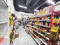 Готовый продуктовый магазин · 120 м², бағасы: 25 млн ₸ в Астане, Нура р-н — фото 17