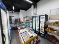Готовый продуктовый магазин · 120 м², бағасы: 25 млн ₸ в Астане, Нура р-н — фото 20