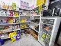 Готовый продуктовый магазин · 120 м², бағасы: 25 млн ₸ в Астане, Нура р-н — фото 7