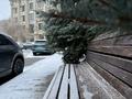 4-бөлмелі пәтер · 187 м² · 1/6 қабат, Омарова 35/1, бағасы: 900 000 ₸ в Алматы, Медеуский р-н — фото 51