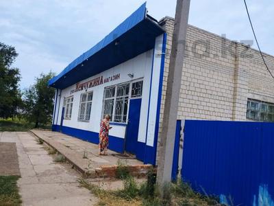 Дүкендер мен бутиктер · 364.52 м², бағасы: ~ 26.8 млн 〒 в Малом чагане