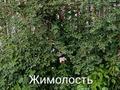 Дача · 2 комнаты · 50 м² · 8 сот., Садовая 10 — За мостом в сторону п.Кирпичный за 5 млн ₸ в Актобе, жилой массив Кирпичный — фото 4