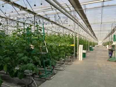 Свободное назначение, сельское хозяйство • 42500 м² за 1 млрд 〒 в Шымкенте, Каратауский р-н