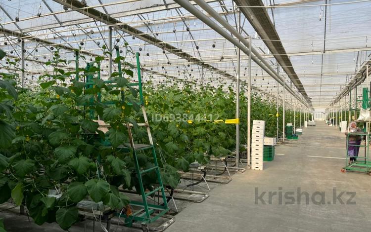 Свободное назначение, сельское хозяйство • 42500 м² за 1 млрд 〒 в Шымкенте, Каратауский р-н — фото 16