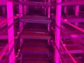 Еркін, ауыл шаруашылығы · 42500 м², бағасы: 1 млрд ₸ в Шымкенте, Каратауский р-н — фото 40