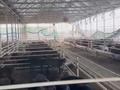 Свободное назначение, сельское хозяйство • 42500 м² за 1 млрд 〒 в Шымкенте, Каратауский р-н — фото 46