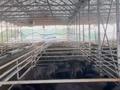 Свободное назначение, сельское хозяйство • 42500 м² за 1 млрд 〒 в Шымкенте, Каратауский р-н — фото 47