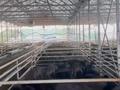 Еркін, ауыл шаруашылығы · 42500 м², бағасы: 1 млрд ₸ в Шымкенте, Каратауский р-н — фото 47