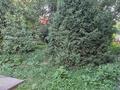 Отдельный дом · 4 комнаты · 156 м² · 33 сот., Кустар 1 — Поликлиника за 155 млн ₸ в Мерей (Селекция) — фото 2