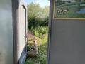 Отдельный дом · 5 комнат · 200 м² · 14 сот., Зайсан 36 за 75 млн ₸ в Астане, Сарыарка р-н — фото 8