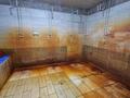Свободное назначение, бани, гостиницы и зоны отдыха · 460 м² за 180 млн ₸ в  — фото 12