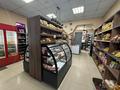 Магазины и бутики · 80 м² за 35 млн ₸ в Семее — фото 7