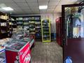 Магазины и бутики • 106 м² за 67 млн 〒 в Астане, Алматы р-н — фото 15