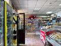Магазины и бутики • 106 м² за 67 млн 〒 в Астане, Алматы р-н — фото 16