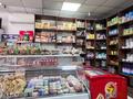 Магазины и бутики • 106 м² за 67 млн 〒 в Астане, Алматы р-н — фото 18