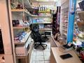 Магазины и бутики • 106 м² за 67 млн 〒 в Астане, Алматы р-н — фото 24