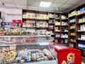 Магазины и бутики • 106 м² за 67 млн 〒 в Астане, Алматы р-н — фото 5