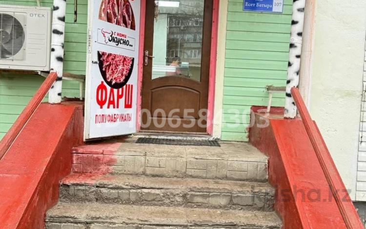 Прибыльный бизнес Мясо+полуфабрикаты · 68 м², бағасы: 14 млн ₸ в Актобе — фото 9