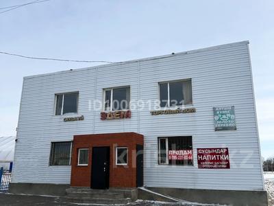 Магазины и бутики · 308 м² за 27 млн ₸ в Карасу