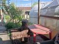 Часть дома · 4 комнаты · 60 м² · 3 сот., Гастелло 43/2 — Соцгород, возле 8 мкр. за 15 млн ₸ в Темиртау — фото 32