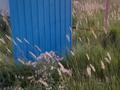 Жер телімі · 10 сотық, Садоводство водолей ул.перепеллийная 30а — Кояндинский дачный моссив, бағасы: 2.5 млн ₸ в Астане — фото 3
