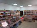 Магазины и бутики • 96 м² за 9.8 млн 〒 в Кенесарах — фото 4