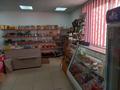 Магазины и бутики • 96 м² за 9.8 млн 〒 в Кенесарах — фото 6