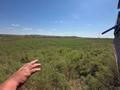 Участок · 15 га, Квартал 292 уч170 за 190 млн ₸ в Шымкенте, Абайский р-н — фото 7