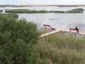 Зона отдыха Далаколь · 100000 м² за 1.1 млрд ₸ в  — фото 9
