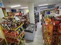 Продуктовый мини-маркет в Узынагаче · 85 м² за 50 млн ₸ в Узынагаш — фото 11