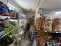 Продуктовый мини-маркет в Узынагаче · 85 м² за 50 млн ₸ в Узынагаш — фото 12