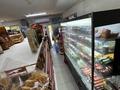 Продуктовый мини-маркет в Узынагаче · 85 м² за 50 млн ₸ в Узынагаш — фото 13