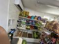 Продуктовый мини-маркет в Узынагаче · 85 м² за 50 млн ₸ в Узынагаш — фото 14