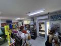 Продуктовый мини-маркет в Узынагаче · 85 м² за 50 млн ₸ в Узынагаш — фото 15