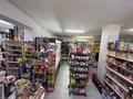 Продуктовый мини-маркет в Узынагаче · 85 м² за 50 млн ₸ в Узынагаш — фото 16