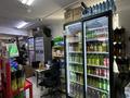 Продуктовый мини-маркет в Узынагаче · 85 м² за 50 млн ₸ в Узынагаш — фото 19