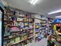 Продуктовый мини-маркет в Узынагаче · 85 м² за 50 млн ₸ в Узынагаш — фото 21