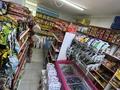 Продуктовый мини-маркет в Узынагаче · 85 м² за 50 млн ₸ в Узынагаш — фото 9