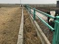 Сельское хозяйство • 2500 м² за 190 млн 〒 в Шымкенте, Абайский р-н — фото 6