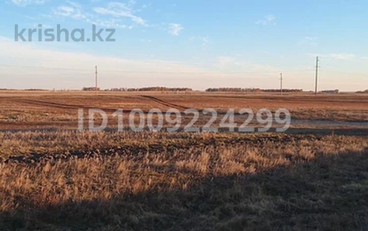 Жер телімі · 5 га, Жаналык (Талгарский район), бағасы: 90 млн ₸ — фото 2