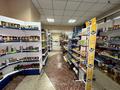 Магазины и бутики • 301 м² за 130 млн 〒 в Караганде, Алихана Бокейханова р-н — фото 5