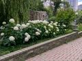 4-бөлмелі пәтер · 209 м² · 5/9 қабат, улица Каныша Сатпаева 24, бағасы: 230 млн ₸ в Алматы, Бостандыкский р-н — фото 37