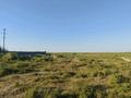 Участок · 500 соток, мкр Жидели за 100 млн ₸ в Шымкенте, Абайский р-н — фото 3