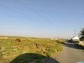 Участок · 500 соток, мкр Жидели за 100 млн ₸ в Шымкенте, Абайский р-н — фото 6