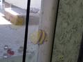 Отдельный дом · 5 комнат · 130 м² · 5 сот., Курнатовского 43А — 2-Арычная за 38 млн ₸ в Шымкенте, Енбекшинский р-н — фото 45