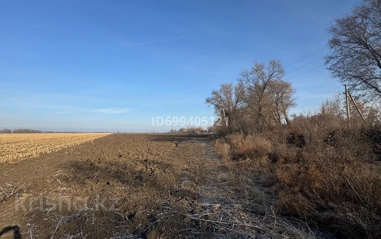 Сельское хозяйство · 14000 м² за 70 млн 〒 в Койшыбеке — фото 3