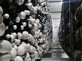 Зауыт · 6 сотық, Байкен 42, бағасы: 395 млн ₸ в Байкент — фото 20