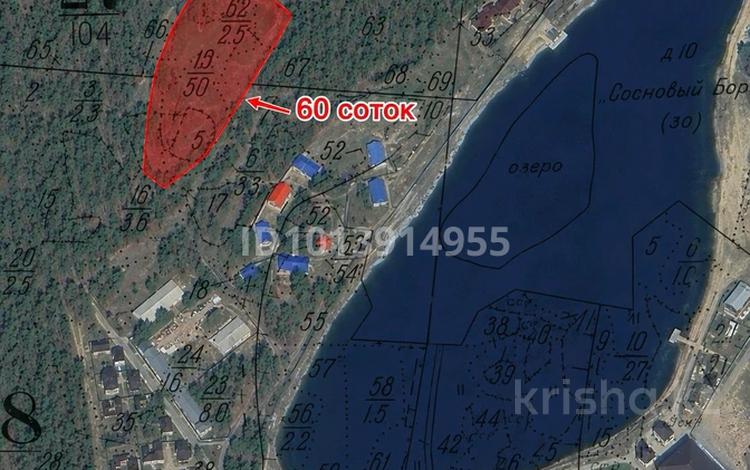 Участок · 60 соток, Щербаково за 22.5 млн ₸ в Костанайской обл. — фото 3